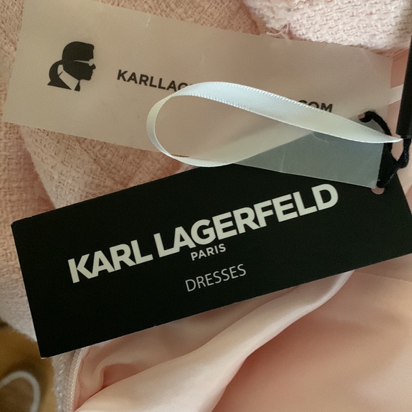 Karl Lagerfeld  "A Line Dress"   - Pretty in Pink for Easter, and SPRING!  sz 4. - Picture 11 of 11